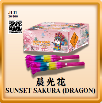 Firecracker 102
